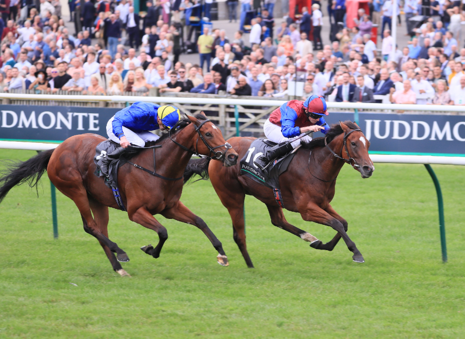 Newmarket